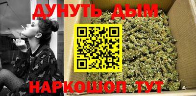 a pvp Можга