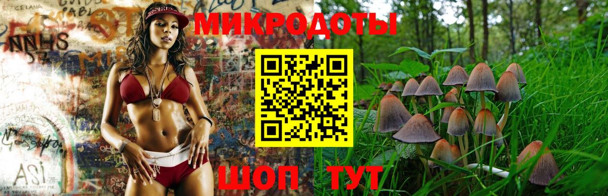 Галлюциногенные грибы Psilocybe  Вход с VPN  Сургут 