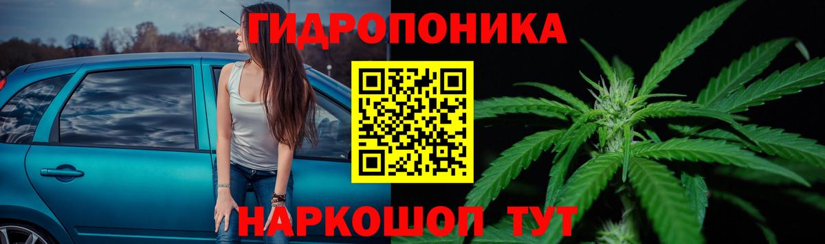 Сургут  Канабис сатива  Вход с VPN  Бошки марихуана планчик  Конопля AK-47  Канабис ГИДРОПОН 